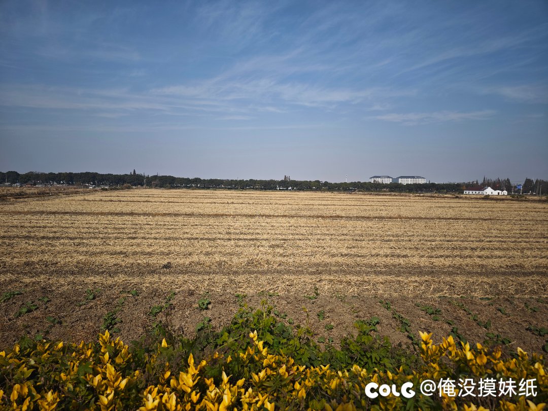 出去绕了一圈（多图）8