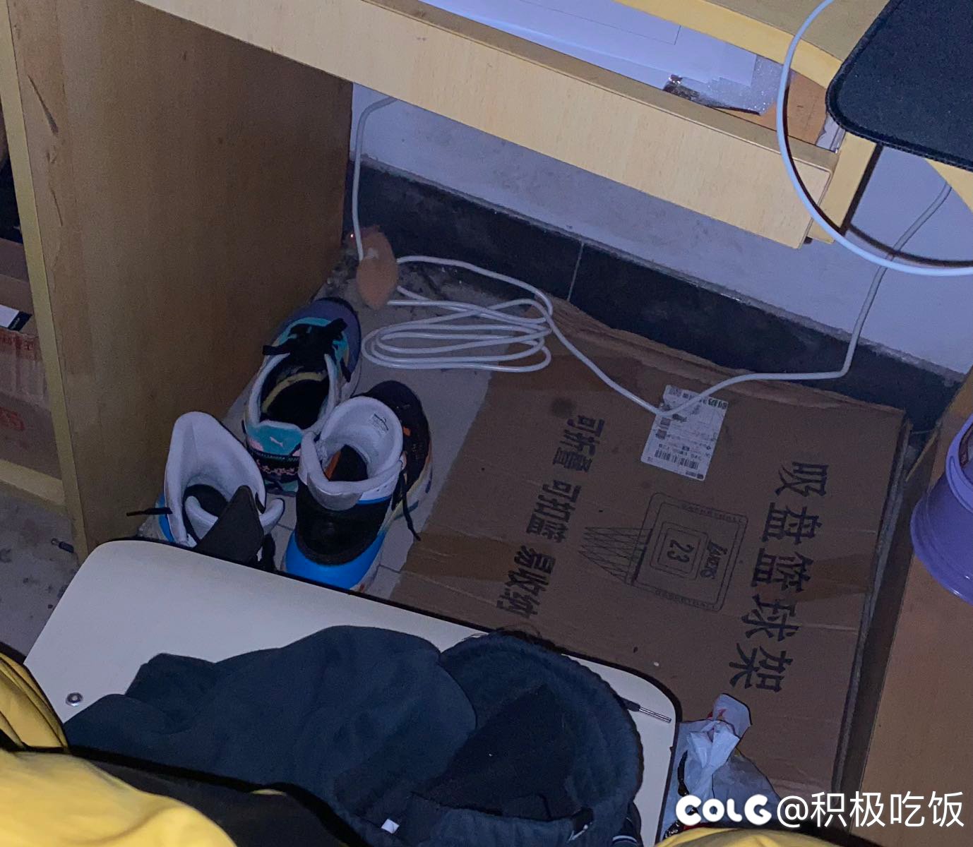 宿舍进鼠鼠了，火速来人，逮捕成功1