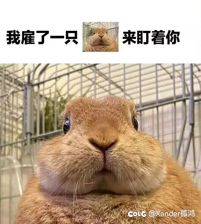 神界开服后都大小号疲劳要怎么分配呢？1