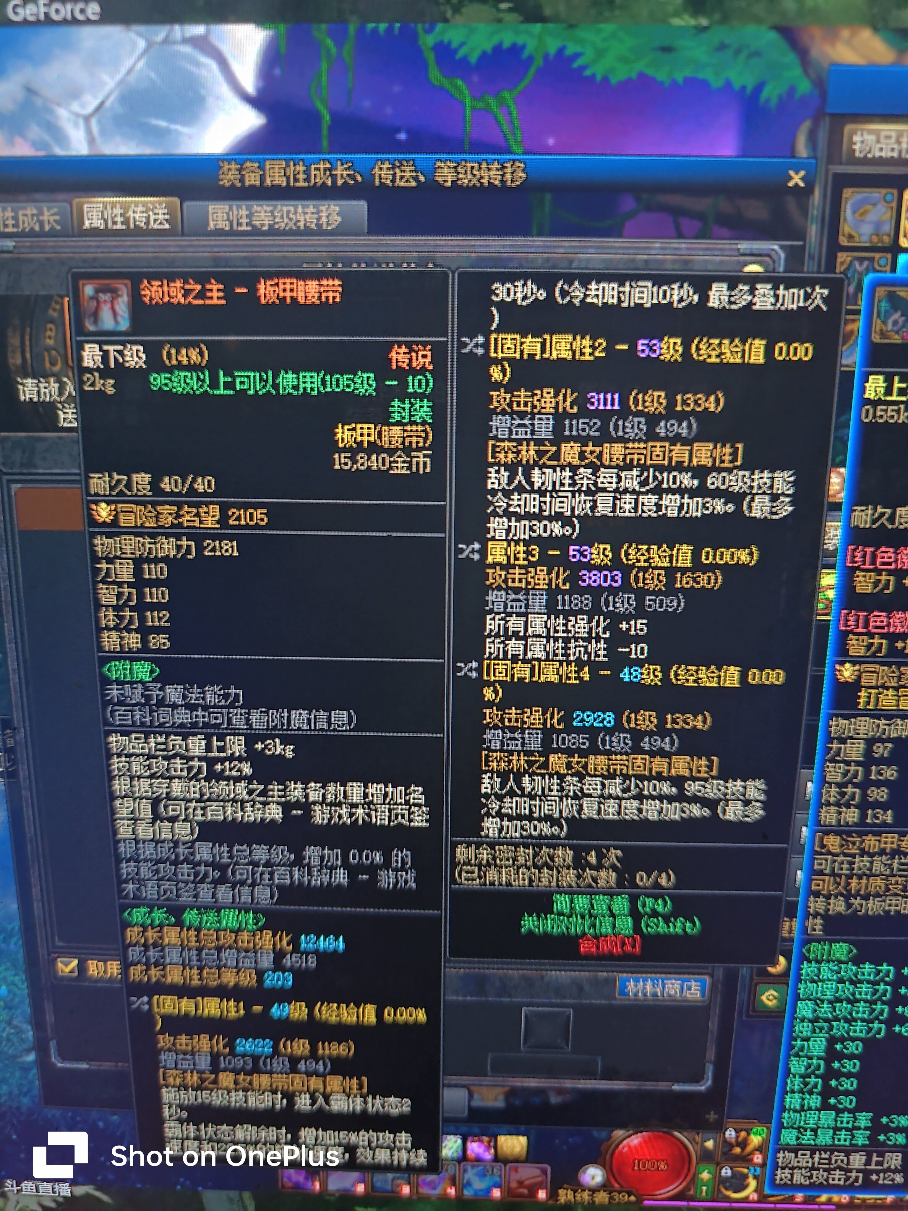 红皮魔女腰带1