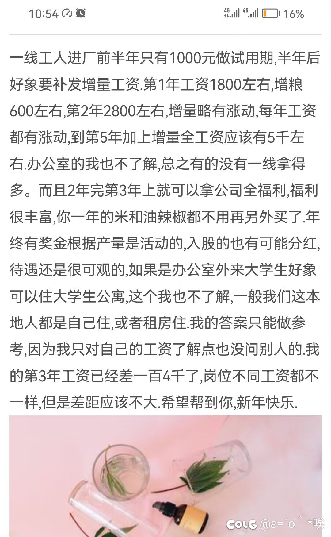 讲个离谱的事情，我同学在茅台打工1