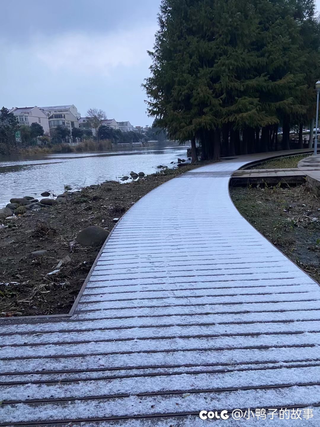 2023年的第一场雪1