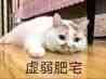再也不敢这么喝了1