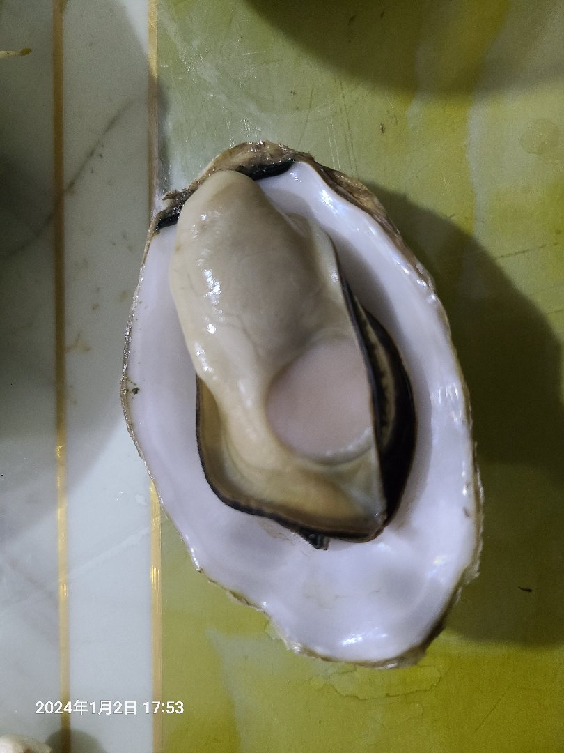 好肥1