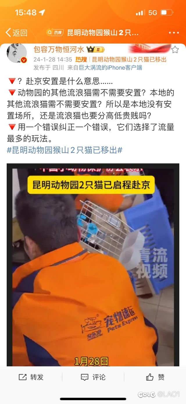 流浪猫赴京安置，最好笑的笑话。1