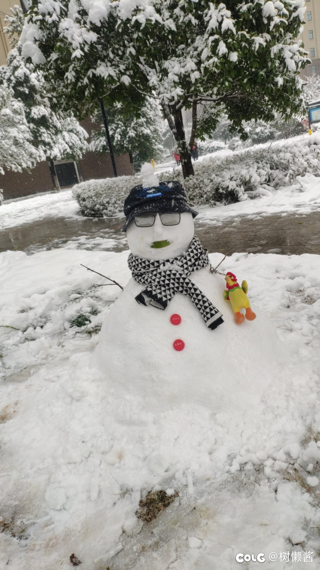 前天湖南下雪，弄了个雪人套2