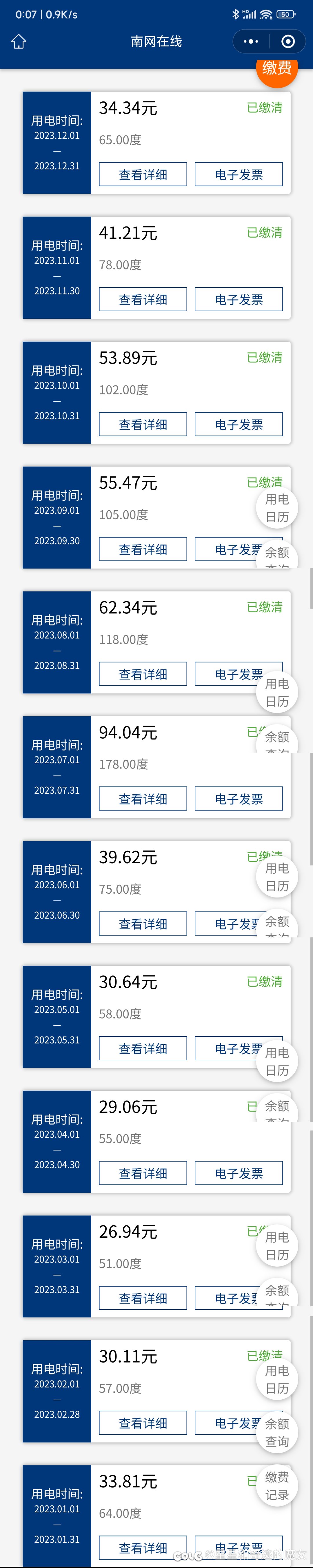 我家的农村年度电费账单1