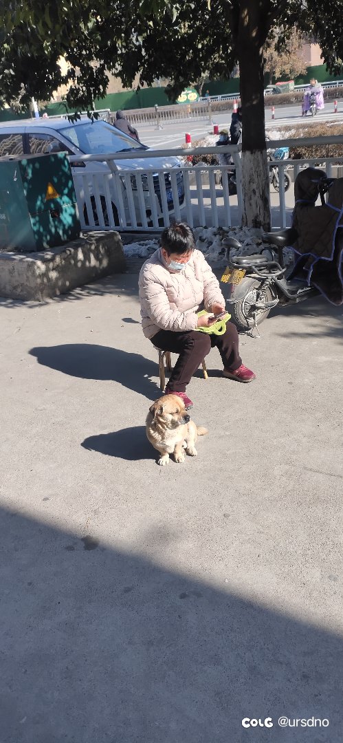 我拍的这张照片真美1