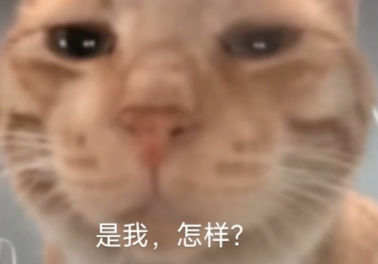 赌狗天赋怎么个事？1