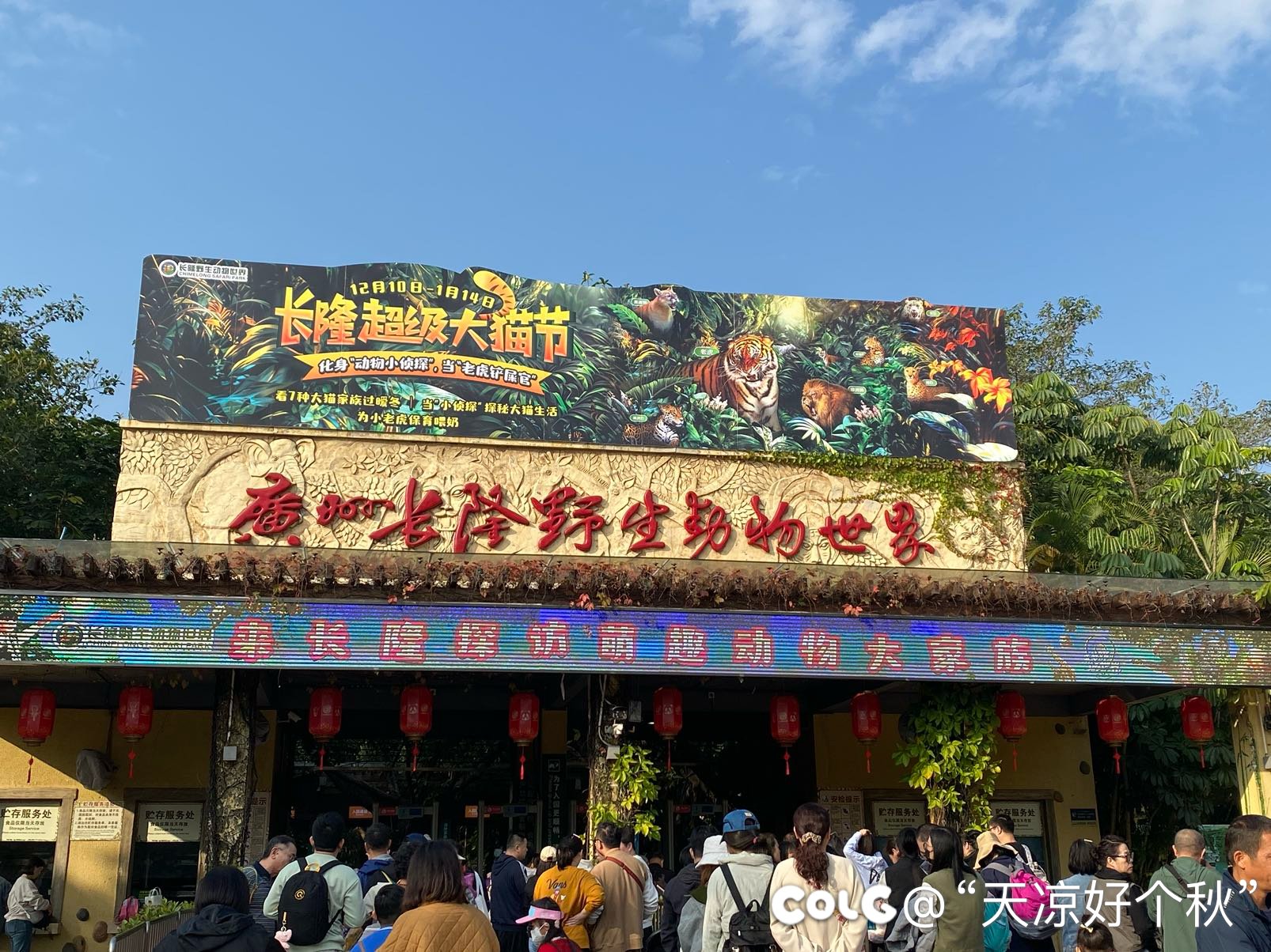 被广州的饮茶文化小小的震撼了下1