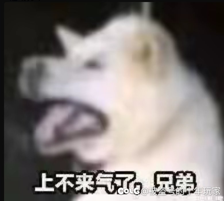 上不来气儿了兄弟2