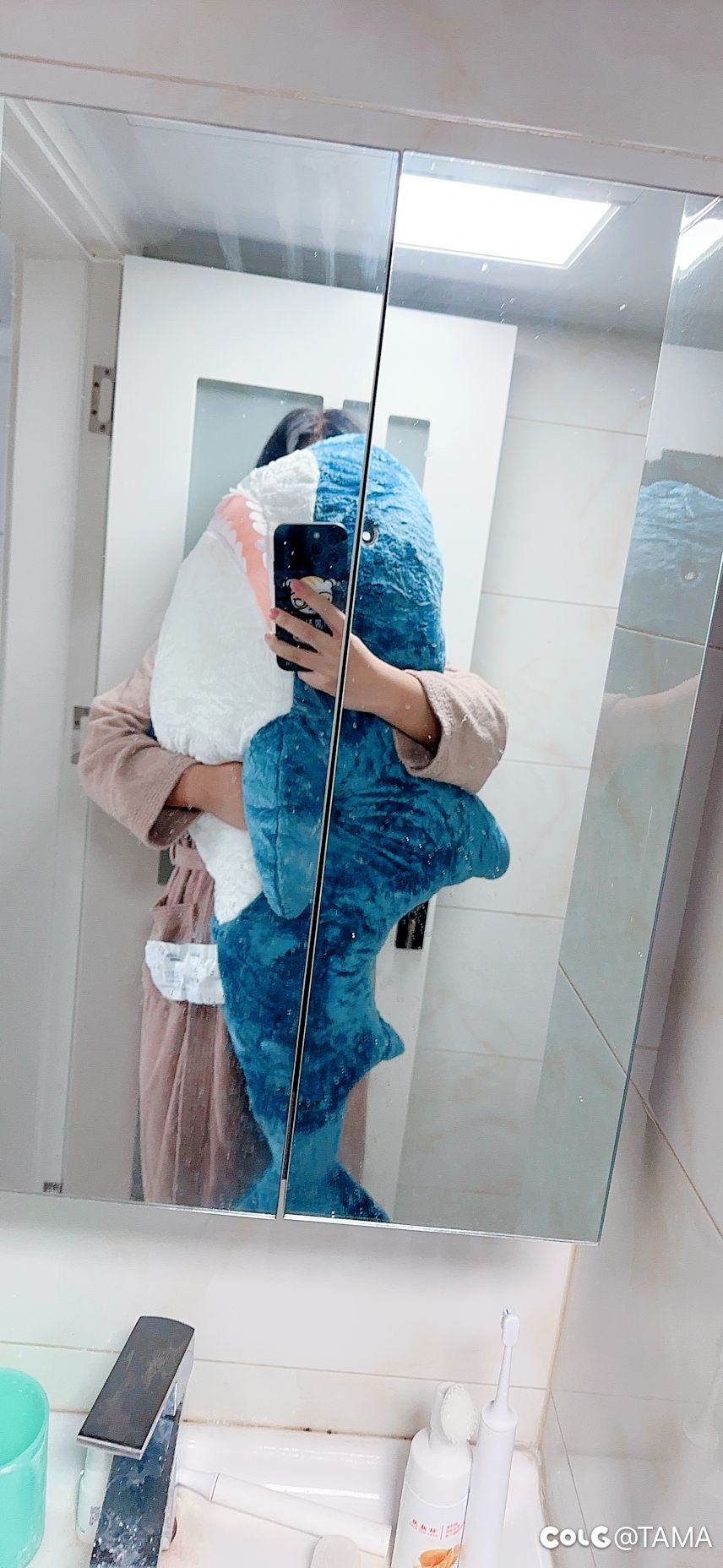 晚上骑鲨睡觉1