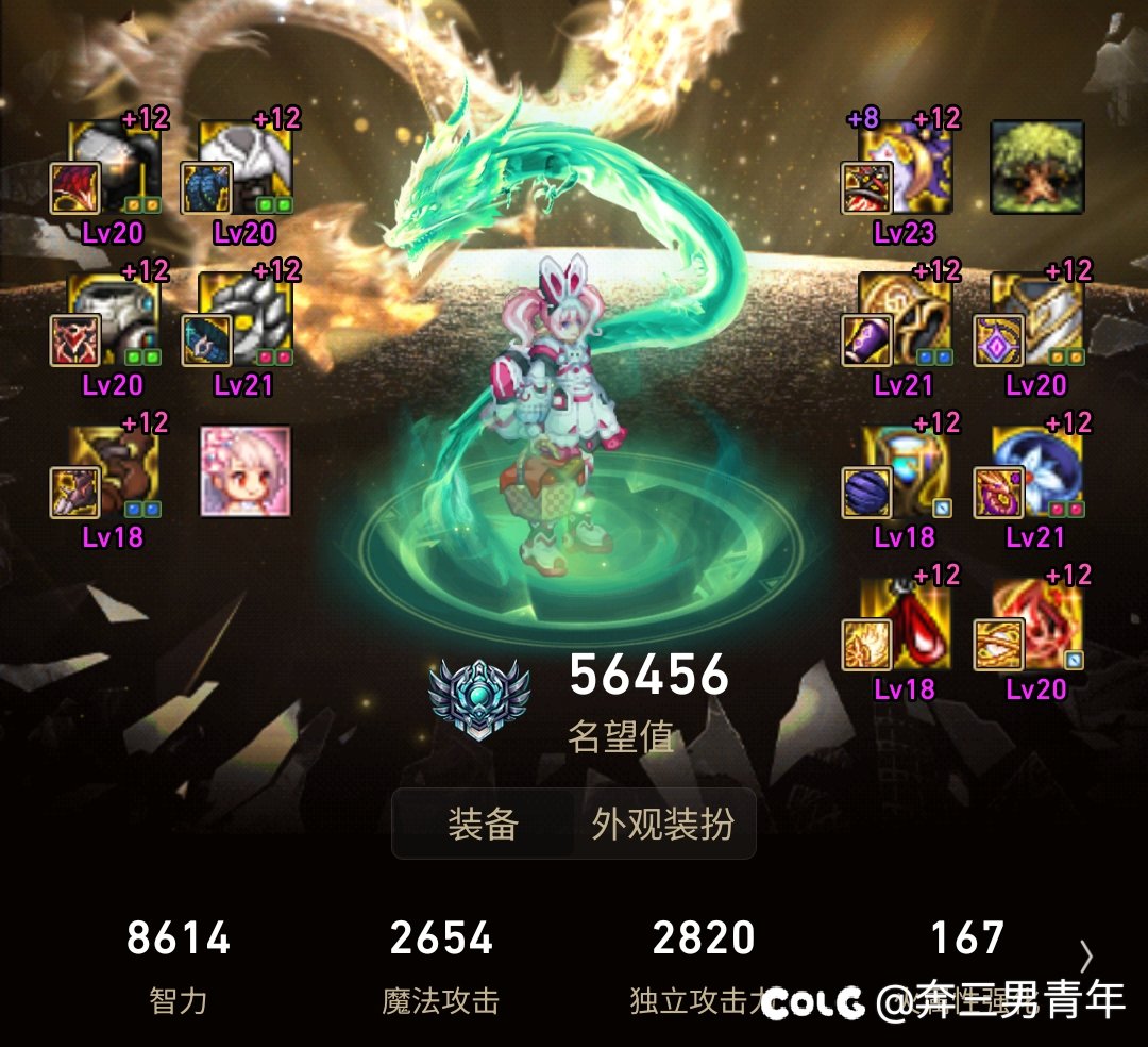 奶系职业，输出，技能加点和护石推荐1