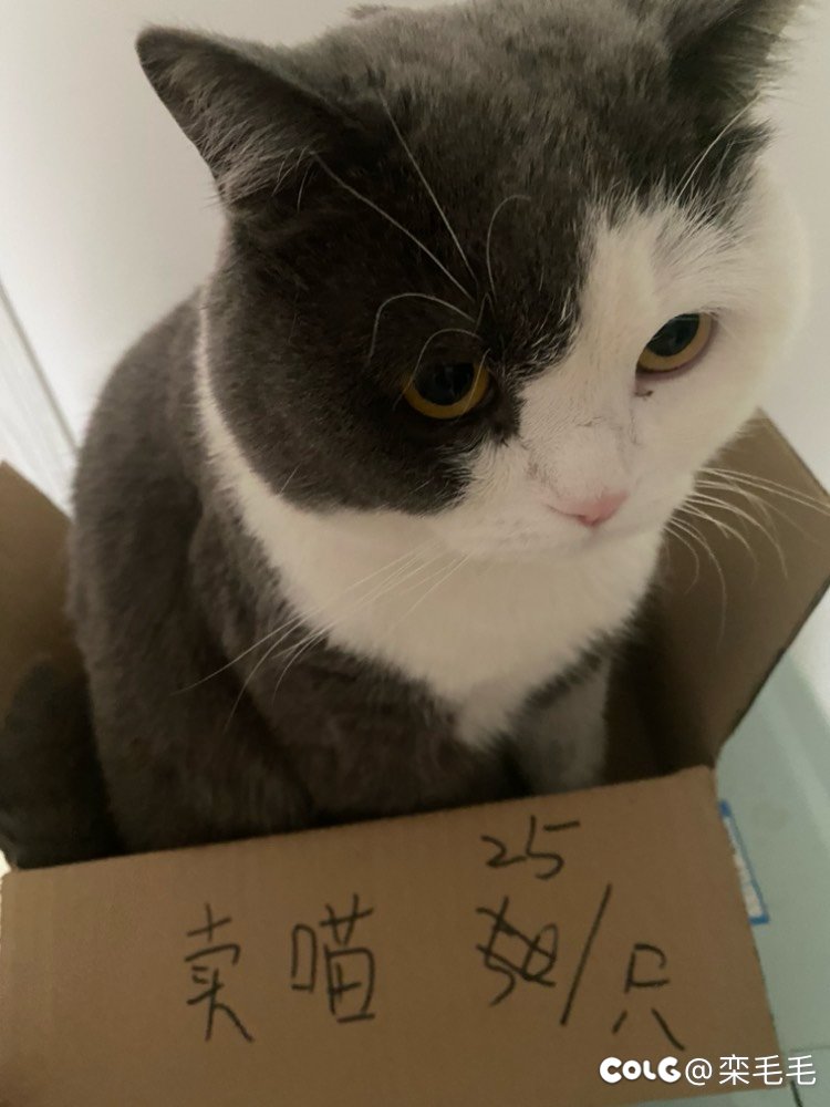小本生意 童叟无欺1