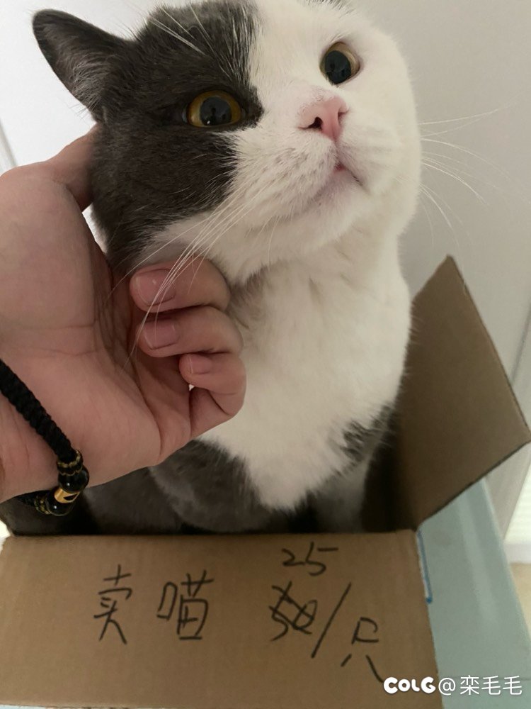 小本生意 童叟无欺2