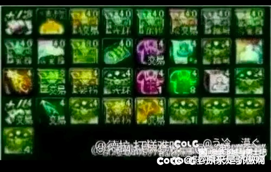 公正投票，了解一下各位有没有买春节套1