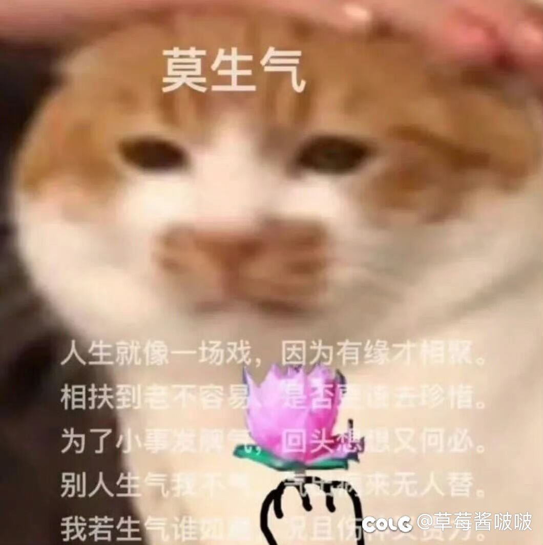 人生不如意，十有之十1