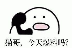 猫哥  猫哥 今日爆料嘛  学楼下的1