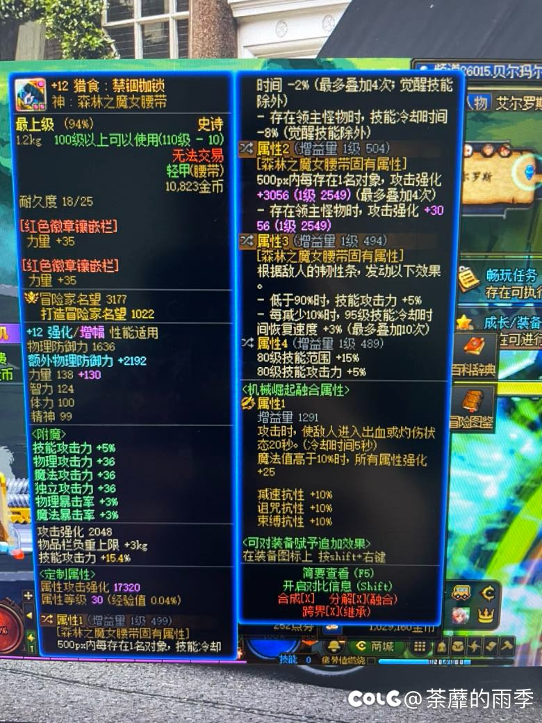 森林魔女腰带卡帧1