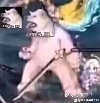 这新版本策划真的有测试过吗？一堆bug1