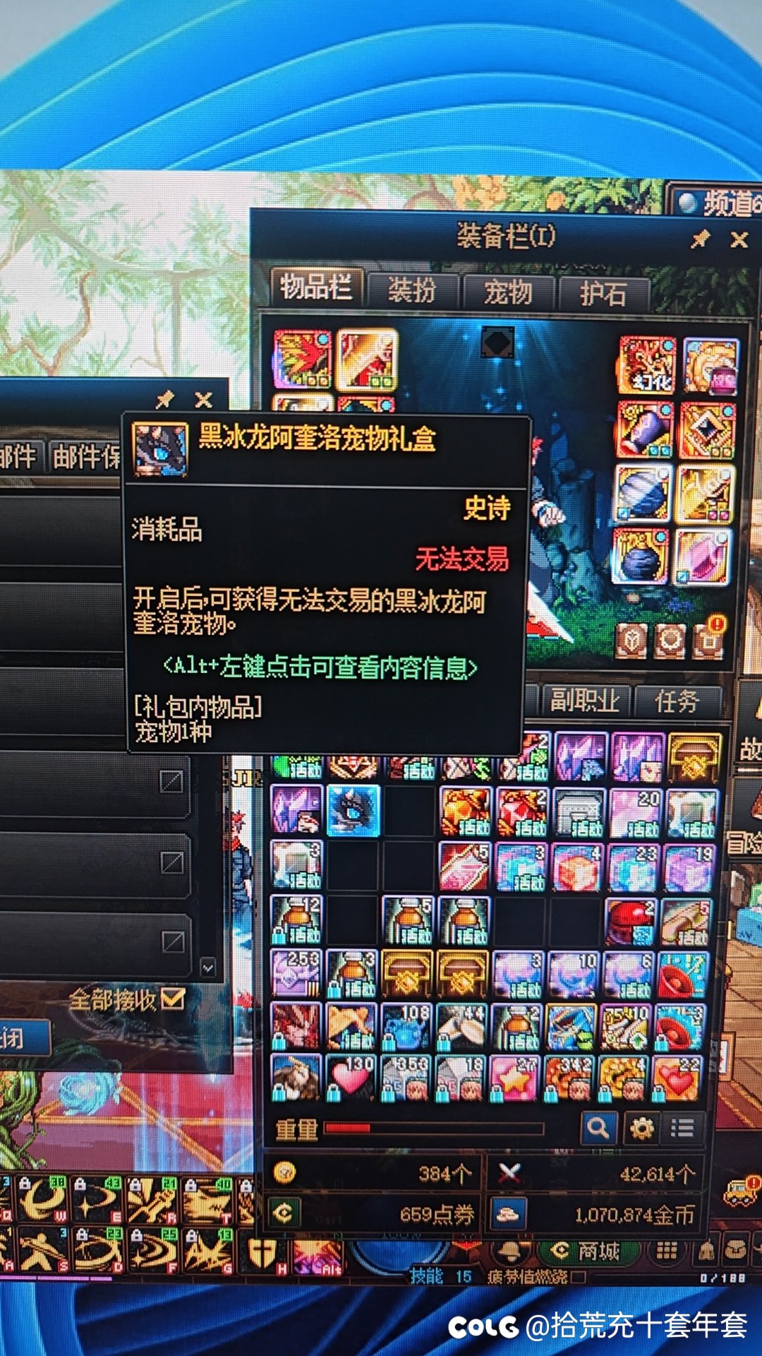 黑龙宠物五百万过分吗1
