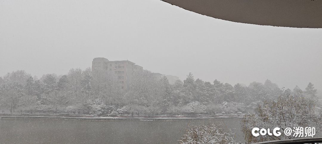 今天把剩的蒸馍吃了（更新拍到的雪景）2