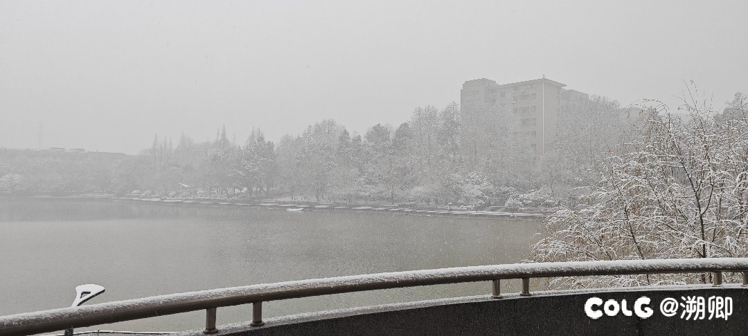 今天把剩的蒸馍吃了（更新拍到的雪景）4