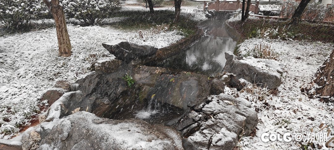 今天把剩的蒸馍吃了（更新拍到的雪景）5