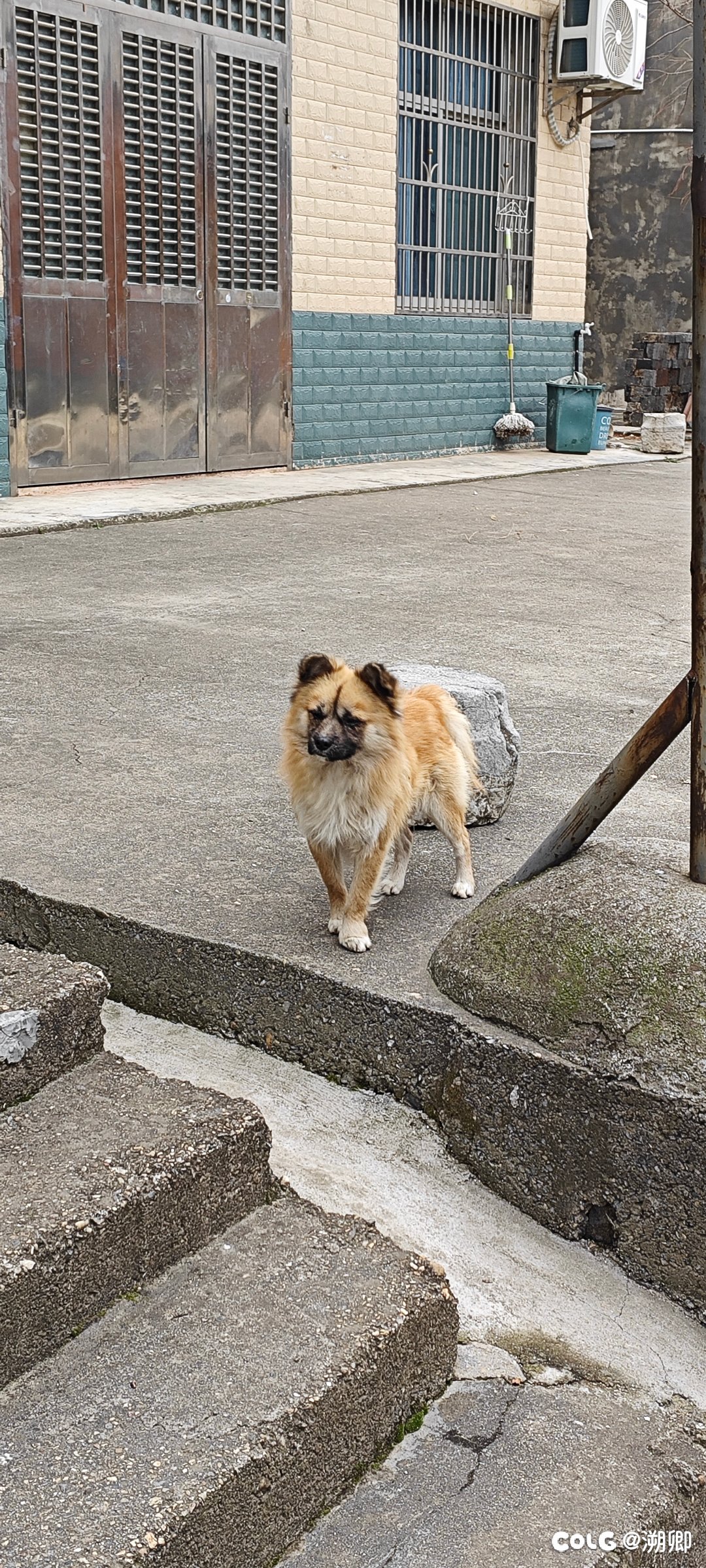 在农村吃饭的第一顿7