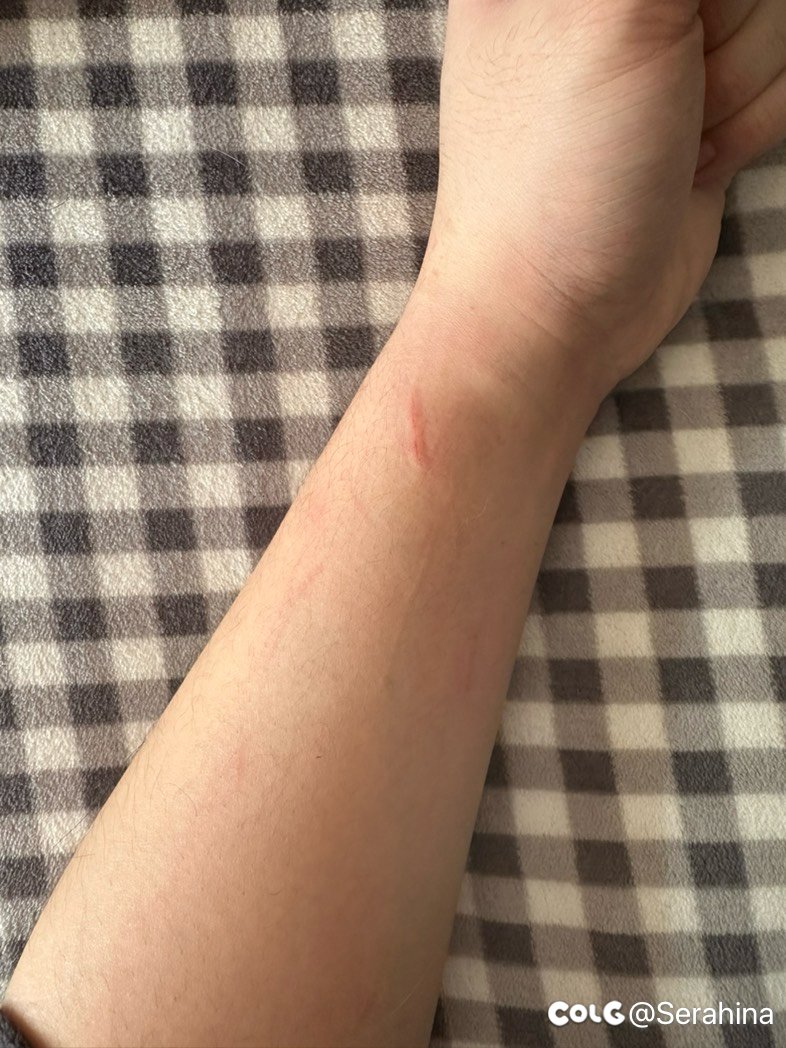 【洗猫】马上过年了，给猫咪洗个澡3