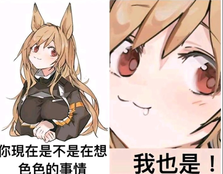 女枪黑白半透小狐狸8