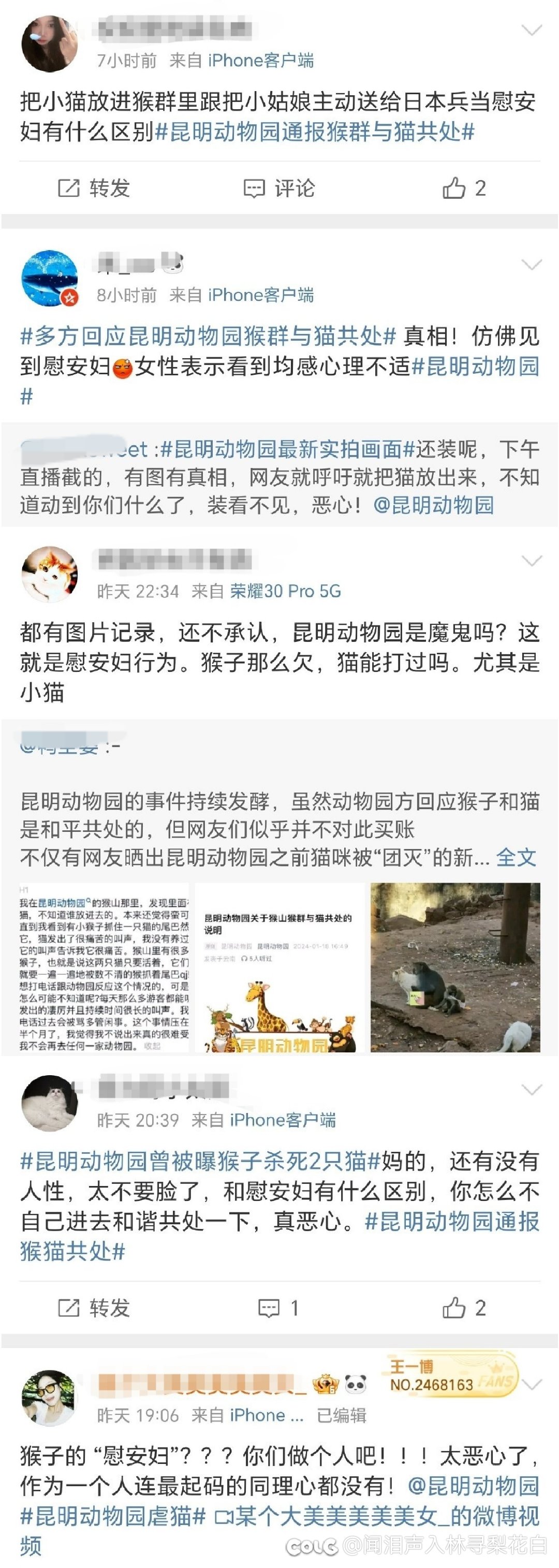 极端爱猫爱狗人士就是出生1