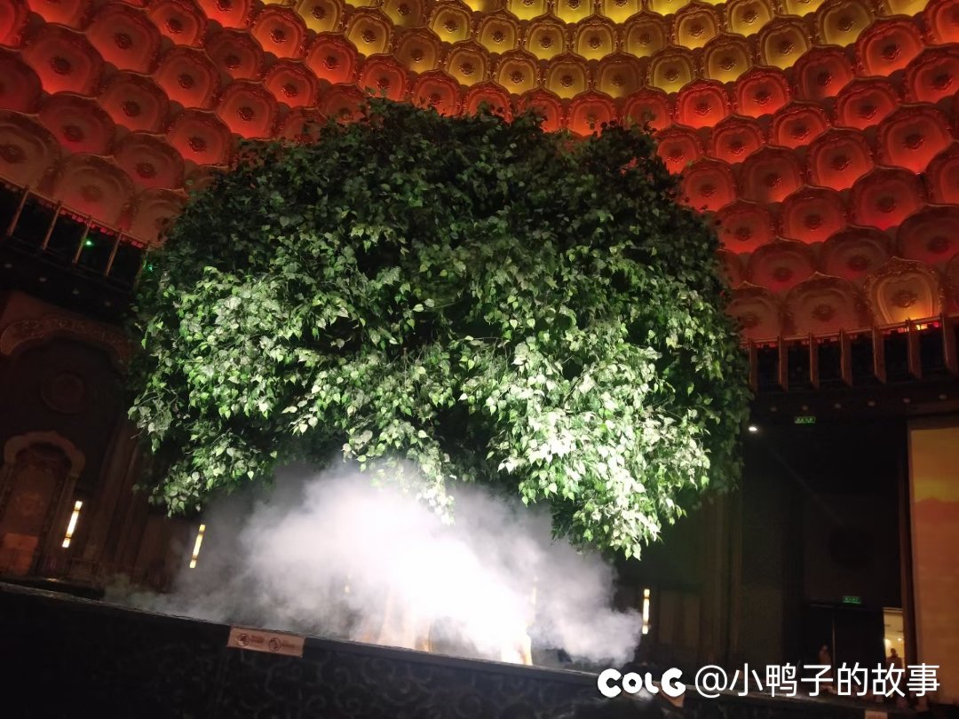 今天去灵山祈了个福1