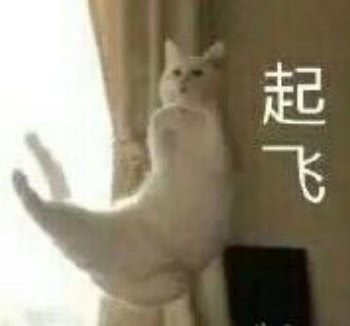糖，前10。。。1