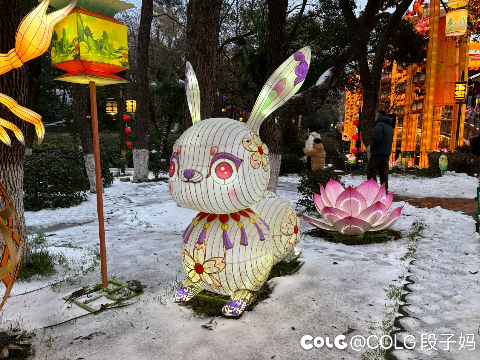 记得看花灯哦5