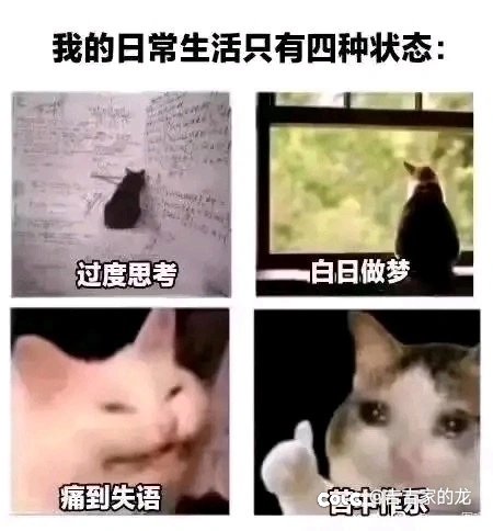 东北的猪后蹄子都去哪了1