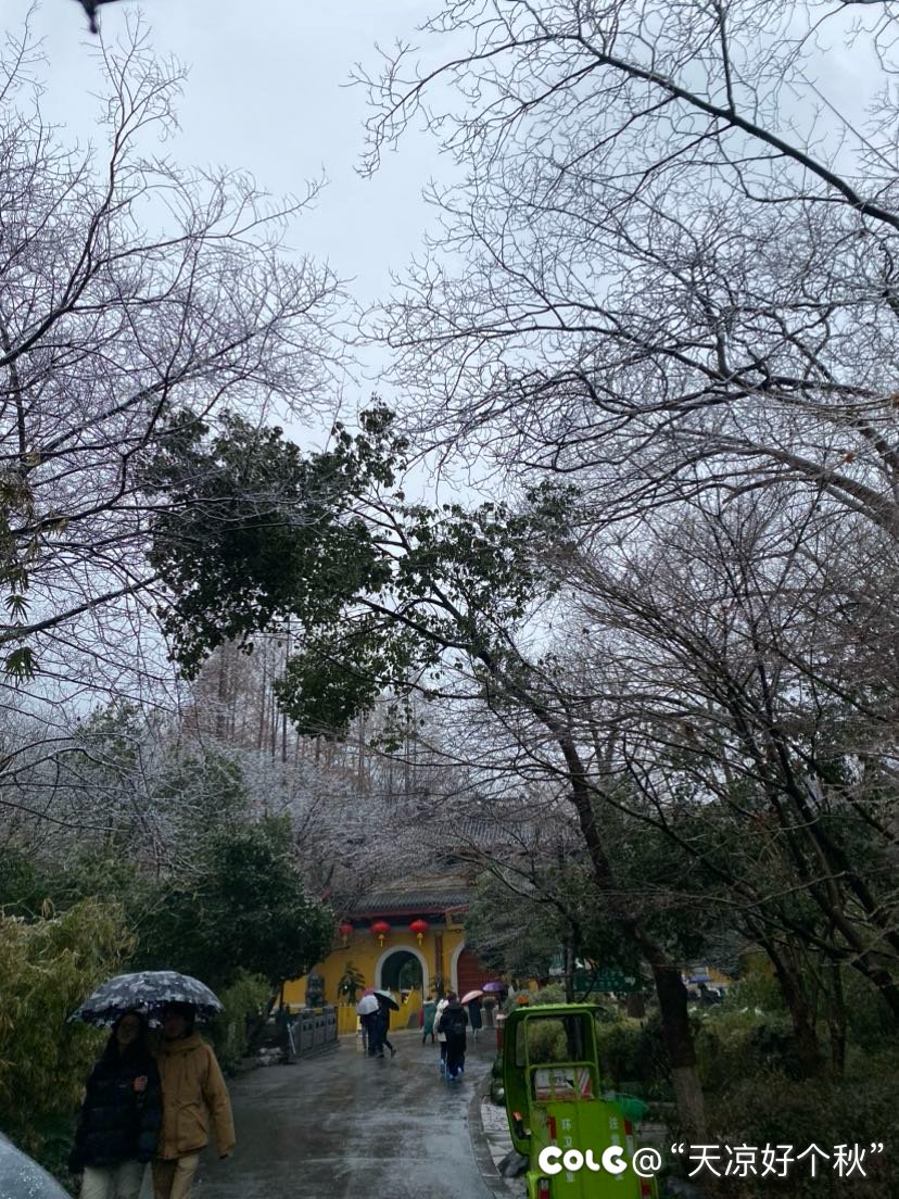 天竺山麓闻梵音  朝雨寒露净心尘1