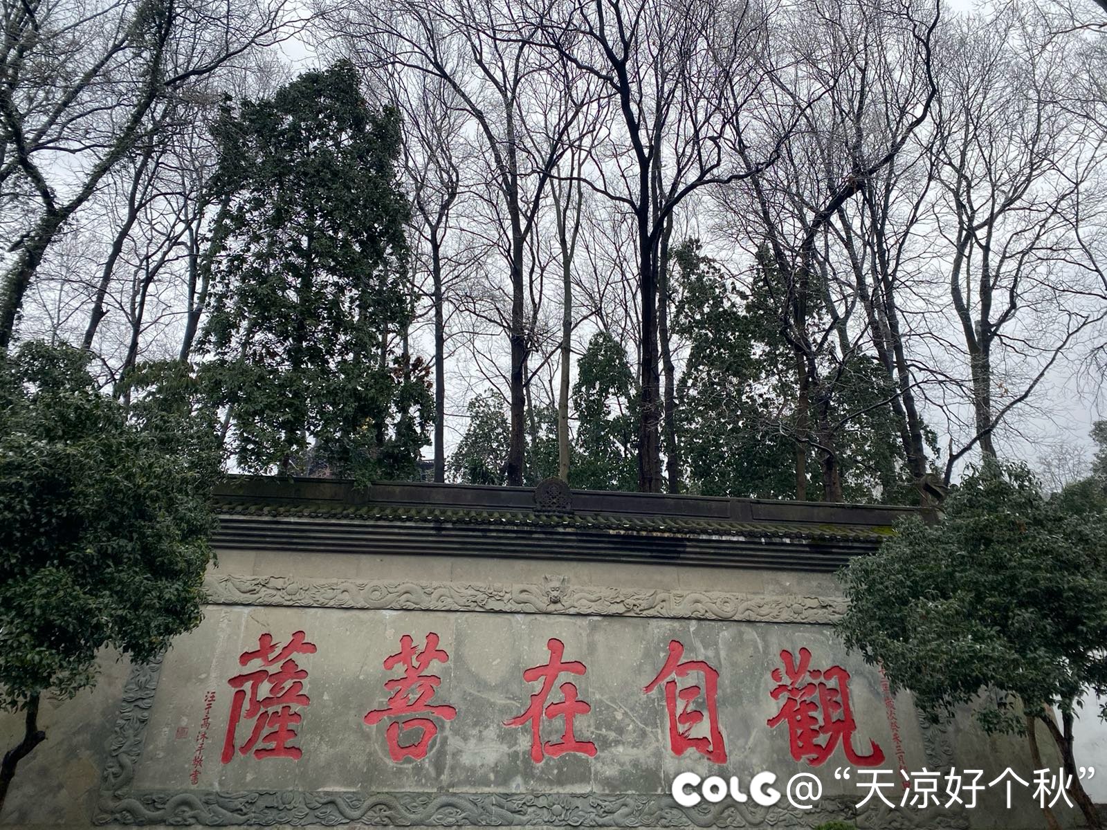 天竺山麓闻梵音  朝雨寒露净心尘2