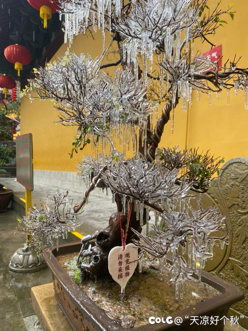 天竺山麓闻梵音  朝雨寒露净心尘4