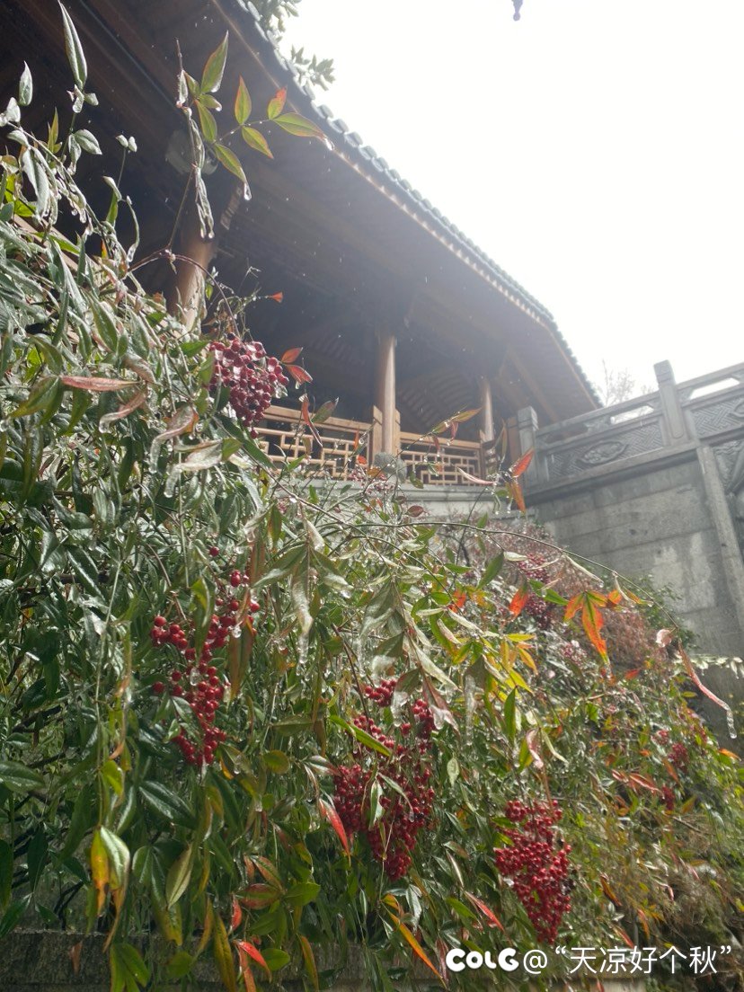 天竺山麓闻梵音  朝雨寒露净心尘8
