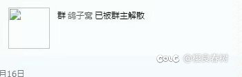 鸽子窝流浪人员看到请回复2