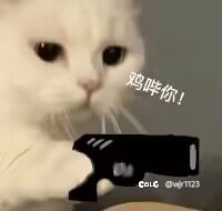 上周50波因果总结(个人论点)5