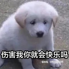 增幅了6个小号1