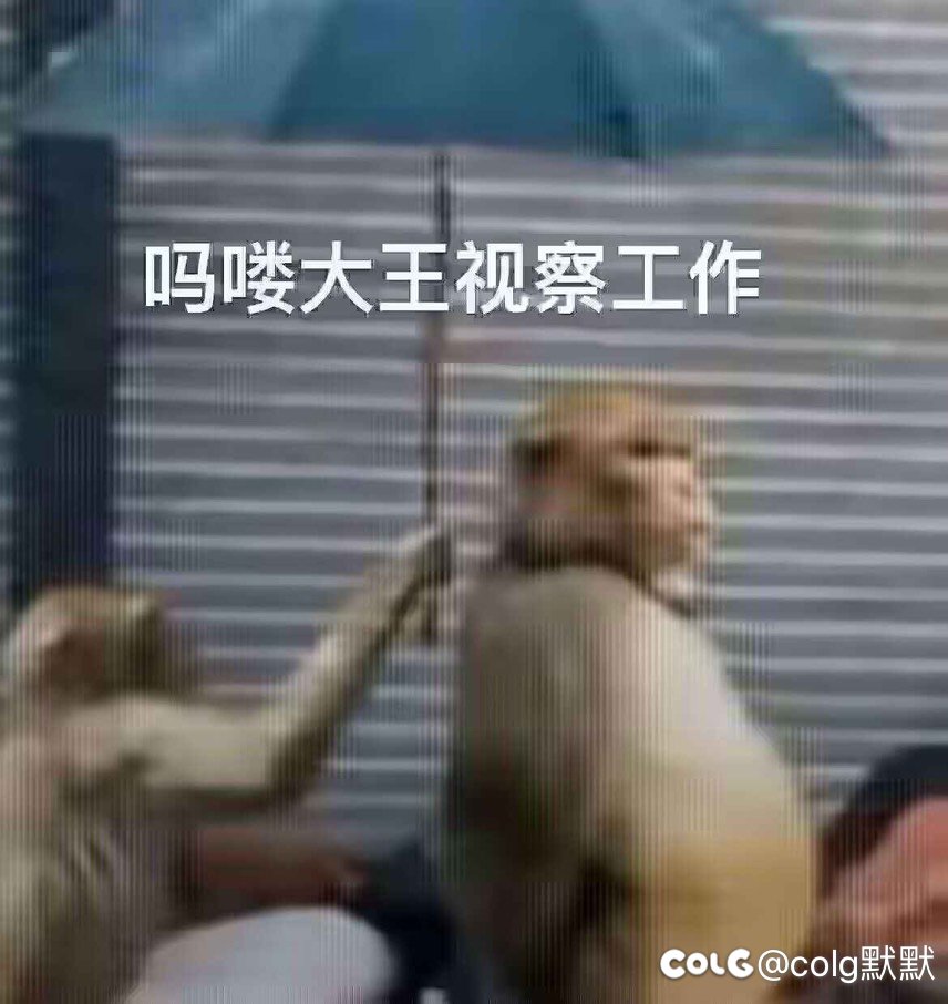 开始减负，效果十分明显2