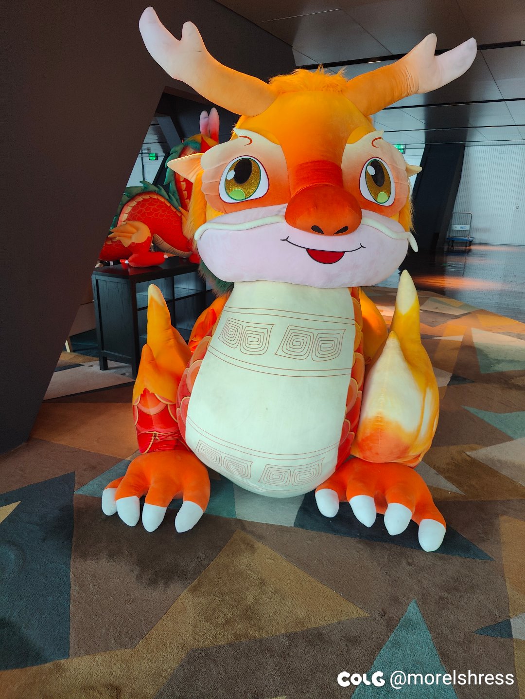 来cctv参观一下5
