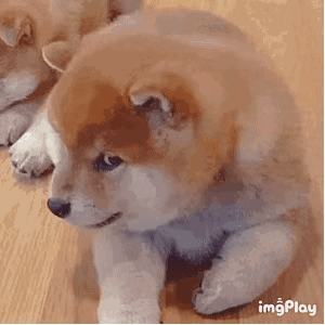 之前发了改版的帖子，有留言说这样还挺舒服，我真的会射2