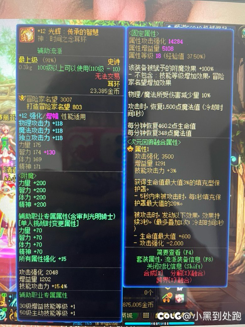 大佬们帮忙看一下为什么我的奶妈换自定义之后没有伤害10