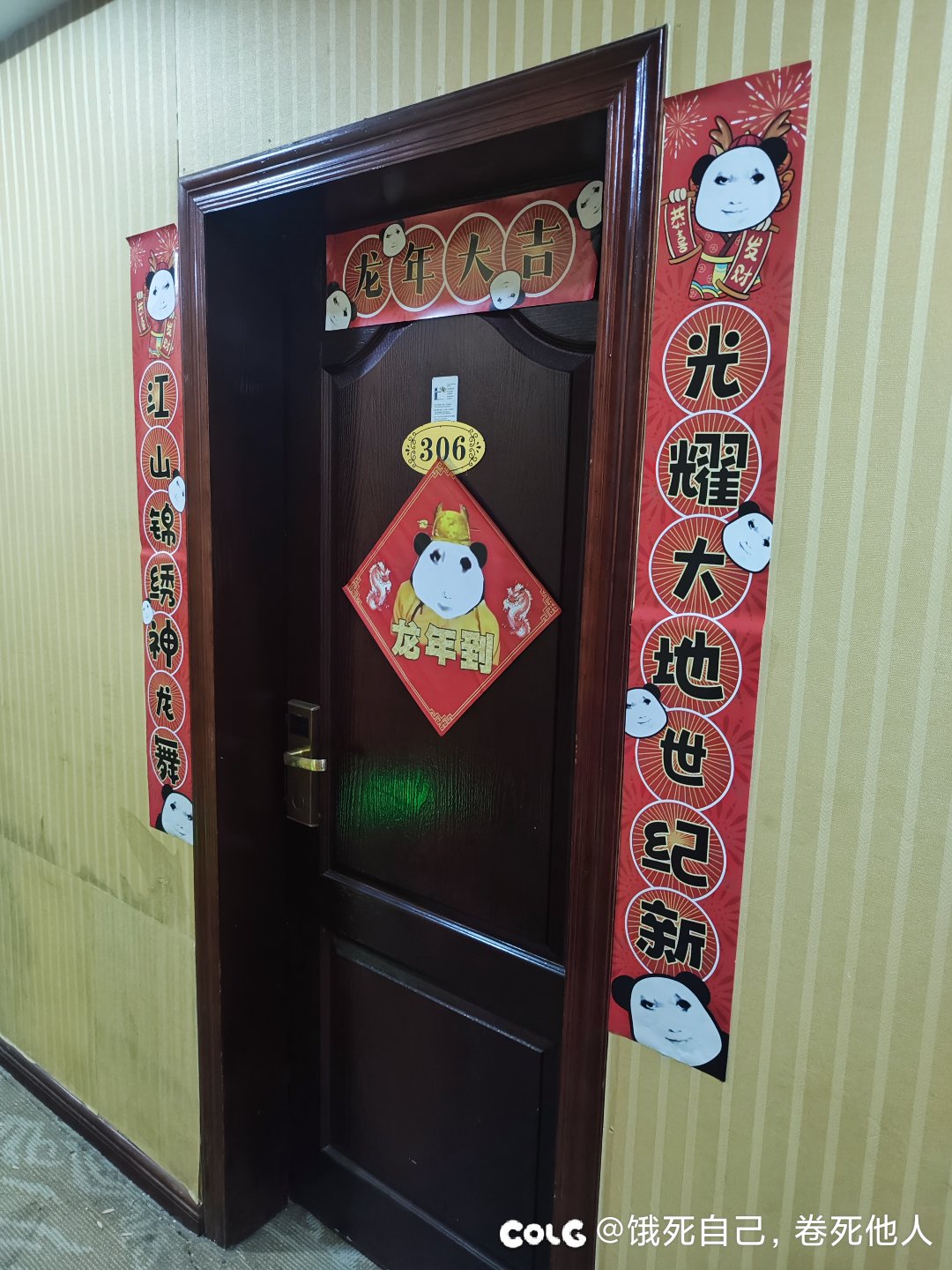 龙年到1