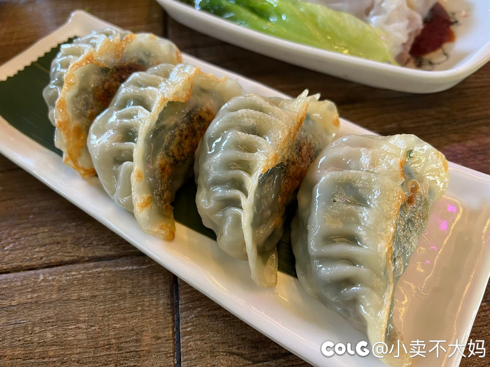 饮茶饮茶5