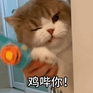 新年好，祝大家年少有为不肾亏1